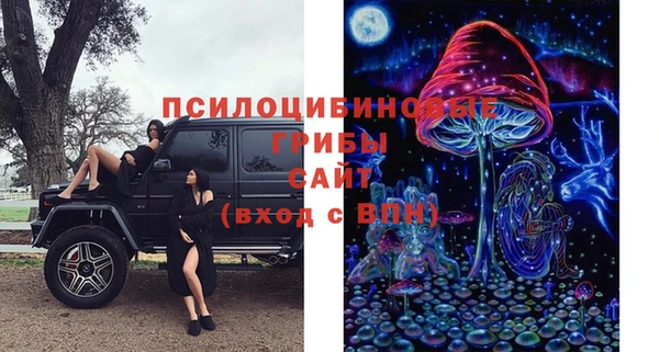 сатива Заволжье