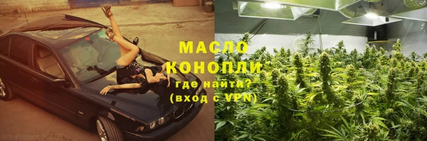 сатива Заволжье