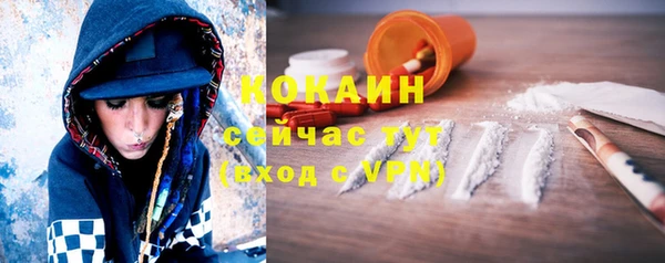 сатива Заволжье