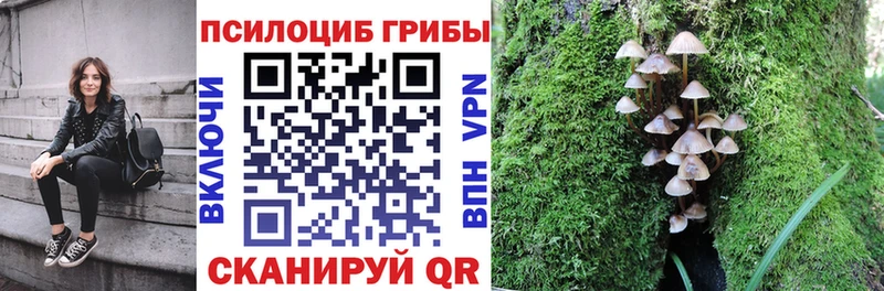 Купить  Балей  Галлюциногенные грибы Magic Shrooms 